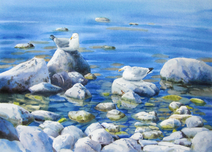 Чистые воды