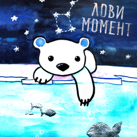 Звездные медведи