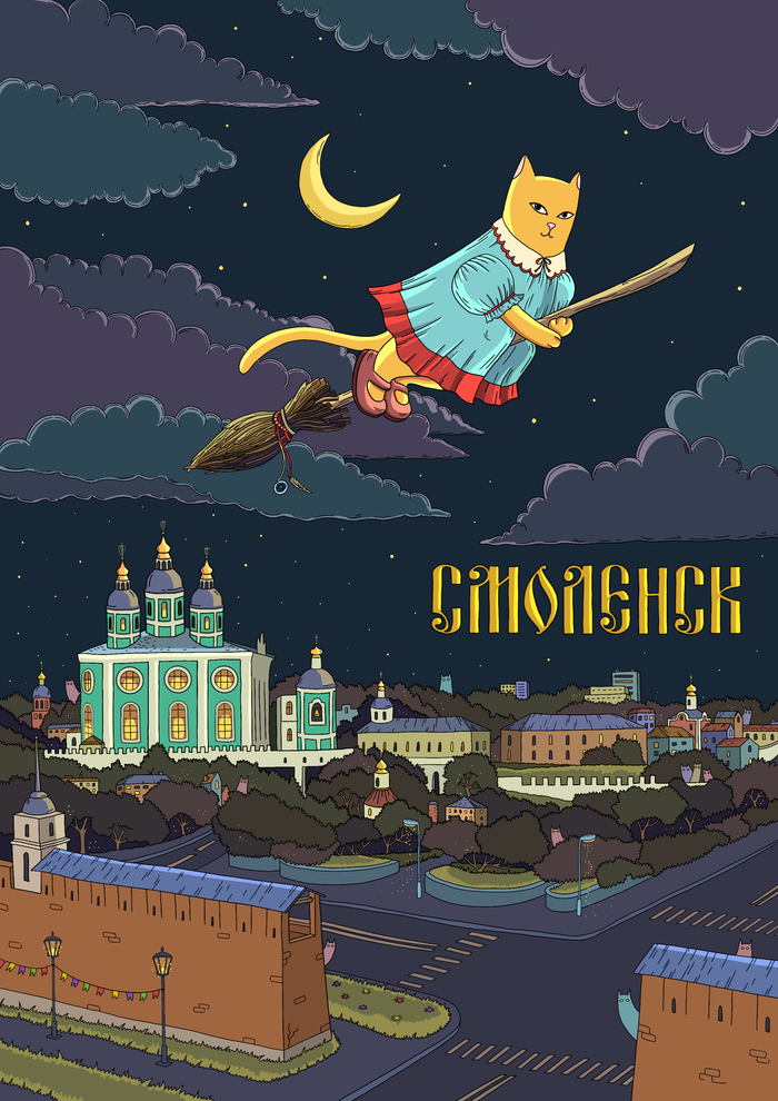 Кошка на метле