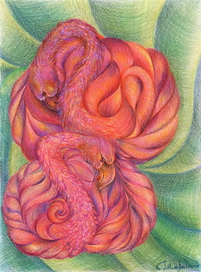 Птицы-Цветы