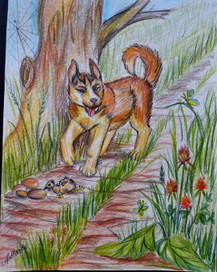 Буран и его первая охота