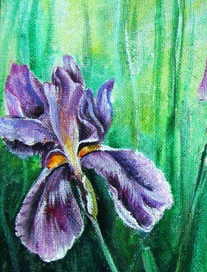 ирис фрагмент