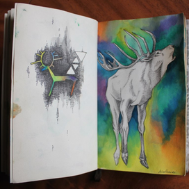 Олень и сияние