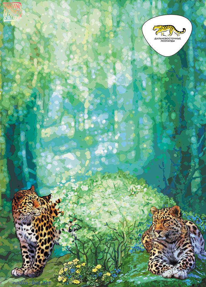 Дальневосточные леопарды весной. Обложка ."Дальневосточные леопарды"" 