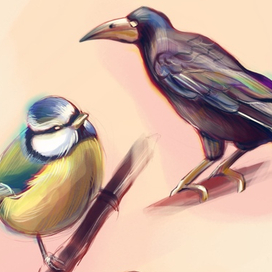 Скетчи птиц