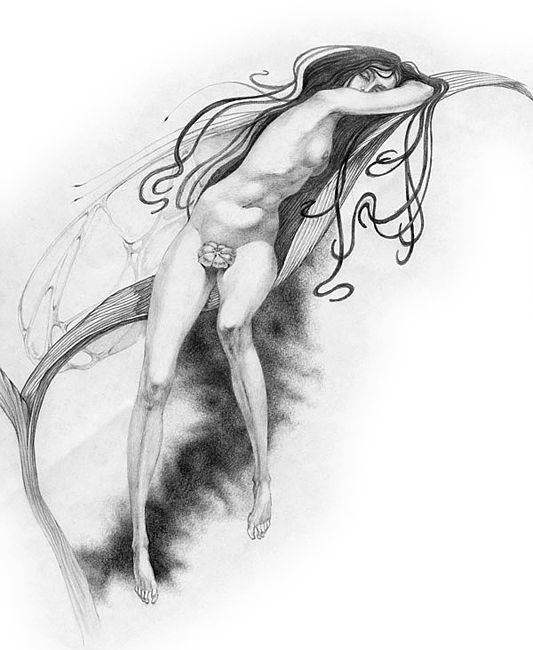 (без названия)