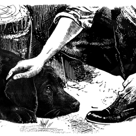 Верный друг