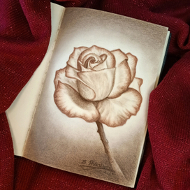 Роза в монохроме