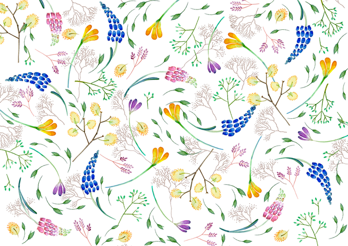 Весеннее мелкоцветье