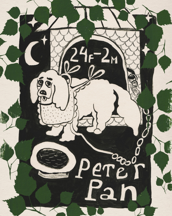 Собака Нана