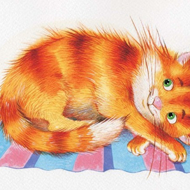 кошка на коврике