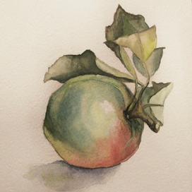 Акварельное яблоко 