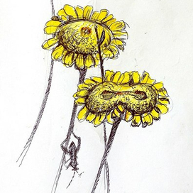 Необычный цветок