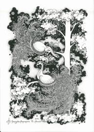 Райские птицы