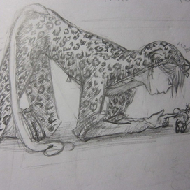 Любопытство