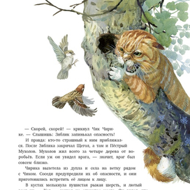 Кот лезет в дупло осины