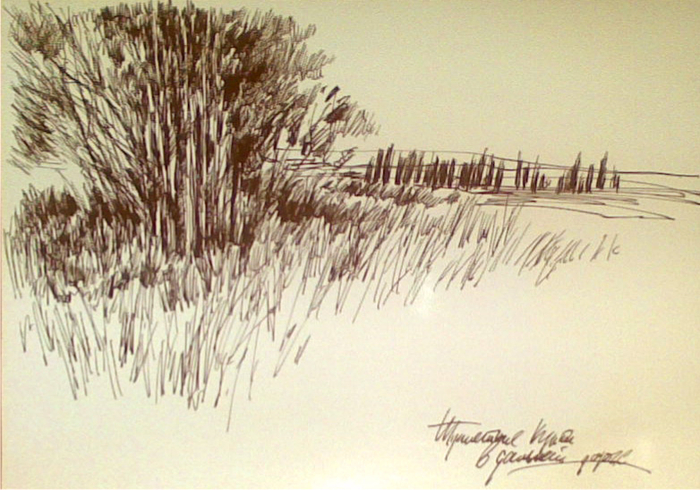 Кустики нужды при дальней дороге...