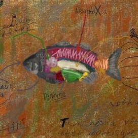 Трактат о рыбе, набитой меланхолией