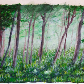 Лес в Солнечном свете