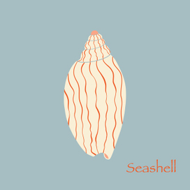 Морская ракушка