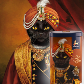 коты и свиньи....