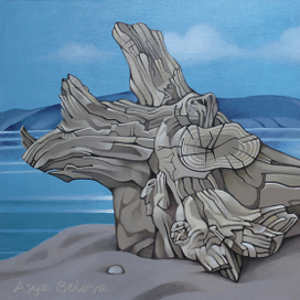 Ольхонская коряга - 3