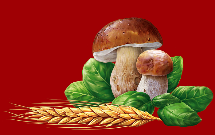 Для упаковки