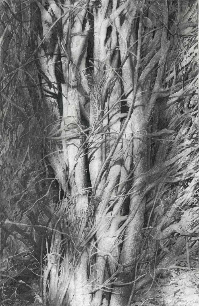 Ноябрьский предзакатный свет 