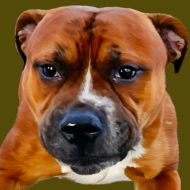 Рисунок по фотографии