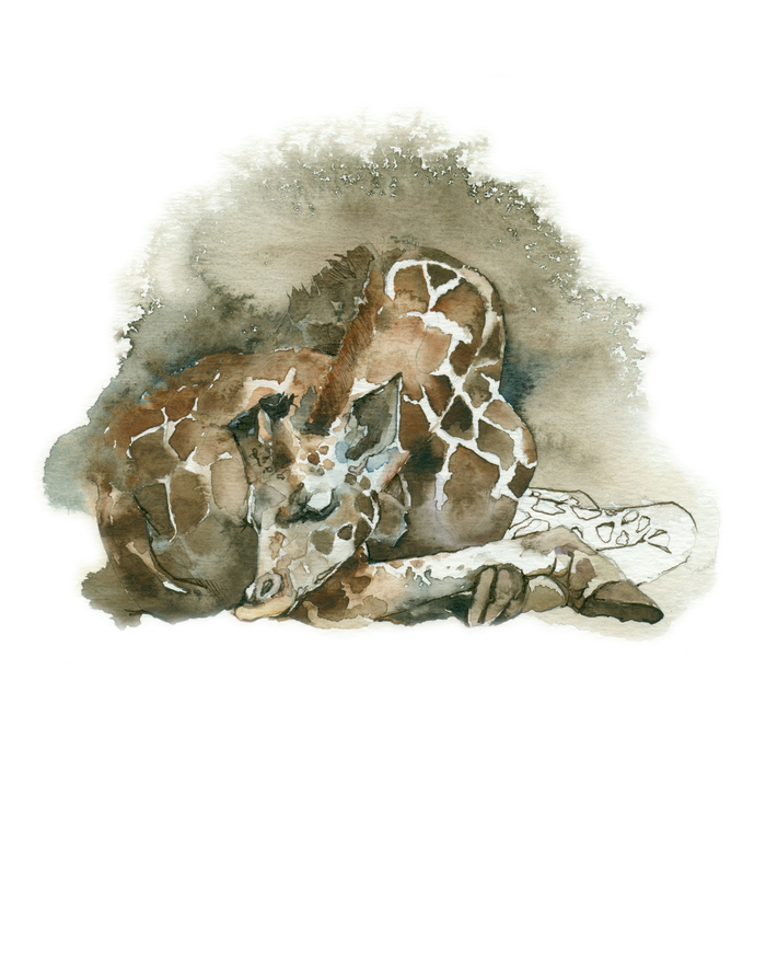 Сладкие сны