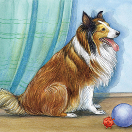 Собака (шелти), ехидна и пищуха