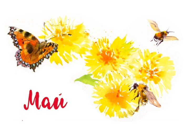 Спуск к главе МАЙ Виталий Бианки «Синичкин календарь», издательство «Речь», 2025