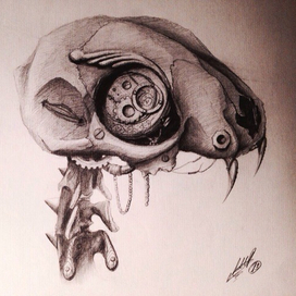 Без названия