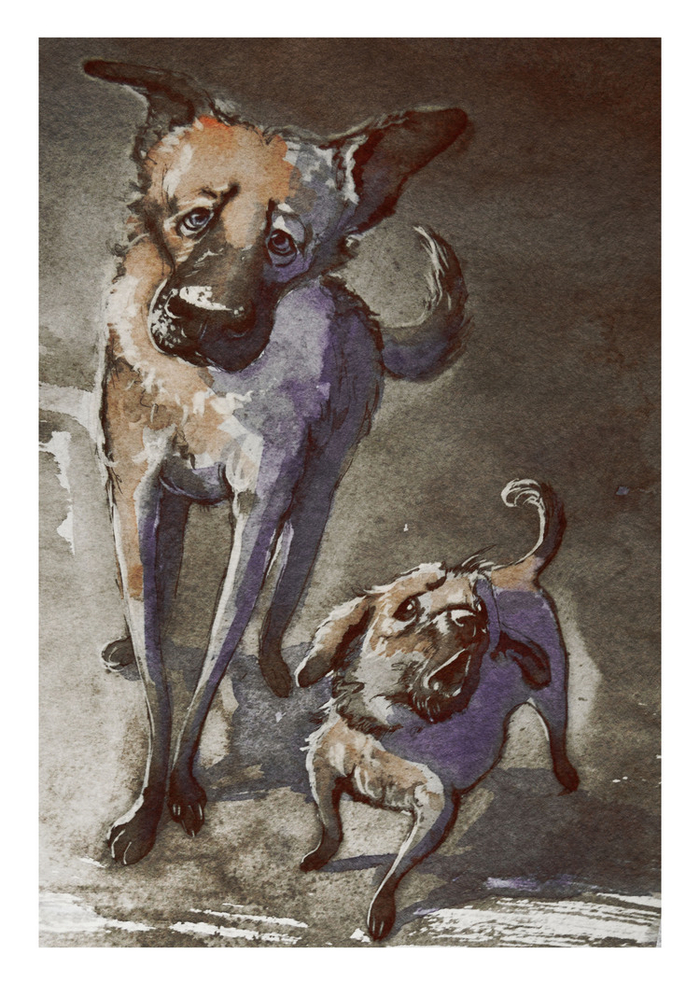 скетч " собачье настроение"