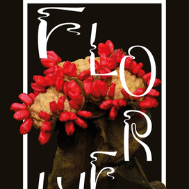 Постер "Flower"