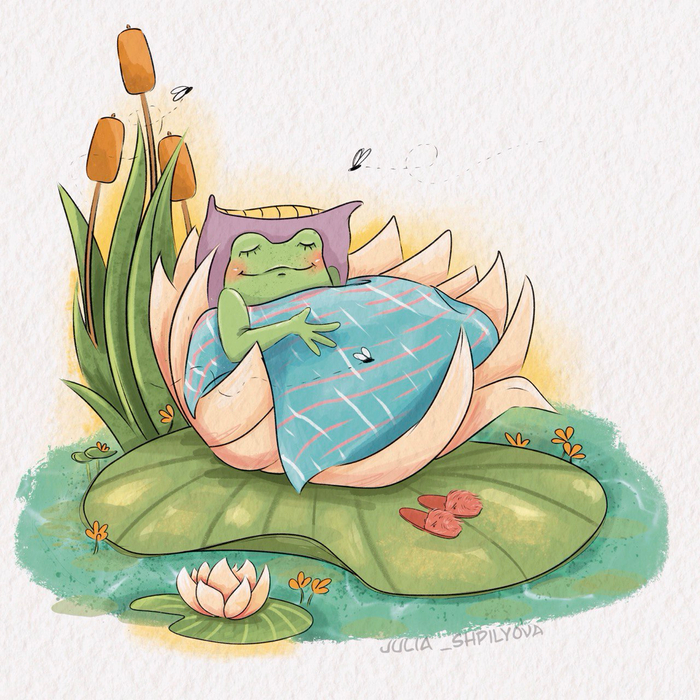 Сон лягушки 