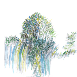 Пейзаж с зеленым деревом