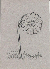 Буква Р - рисунки для алфавита