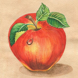 Яблоко