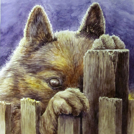 Сторж в засаде )