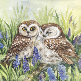 Весенние совушки