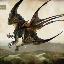 птиц улайров