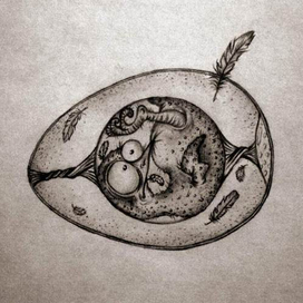 Содержимое