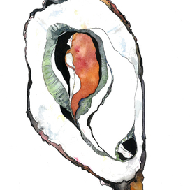 из серии "Раковина"