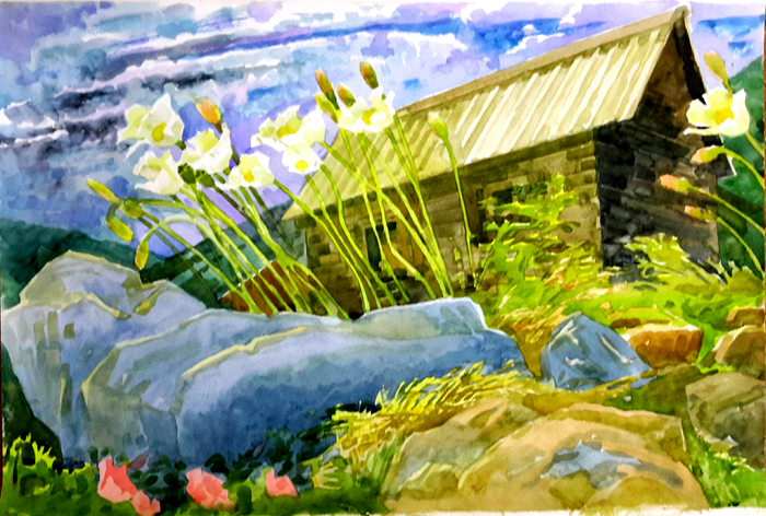 Домики.цветочки.40×60