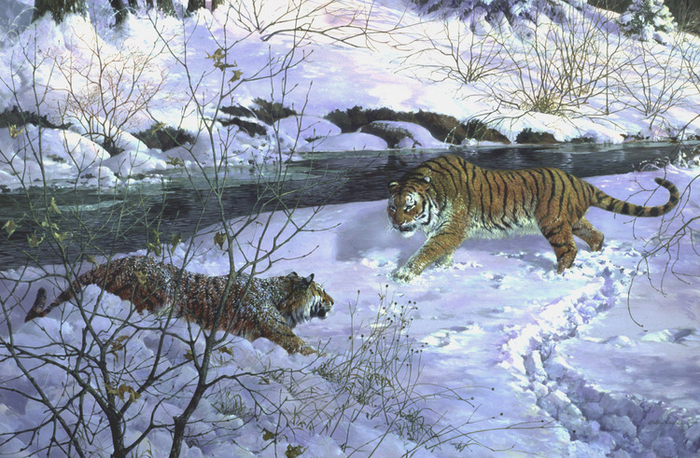 Мартовские тигры