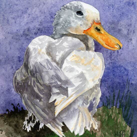 Белая кряква