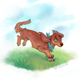 Такса Руна.