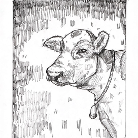 Корова линером 