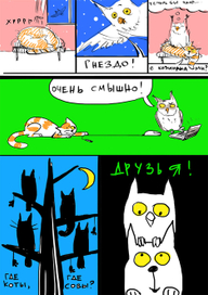 кот и сова